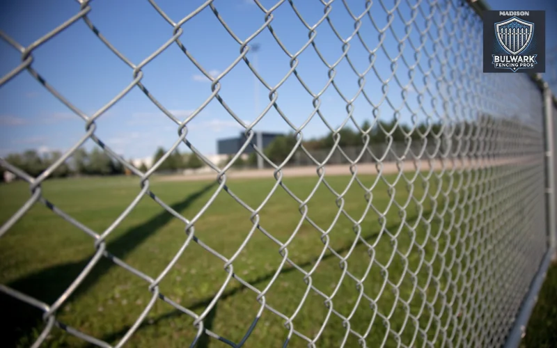 Chain Link Fence