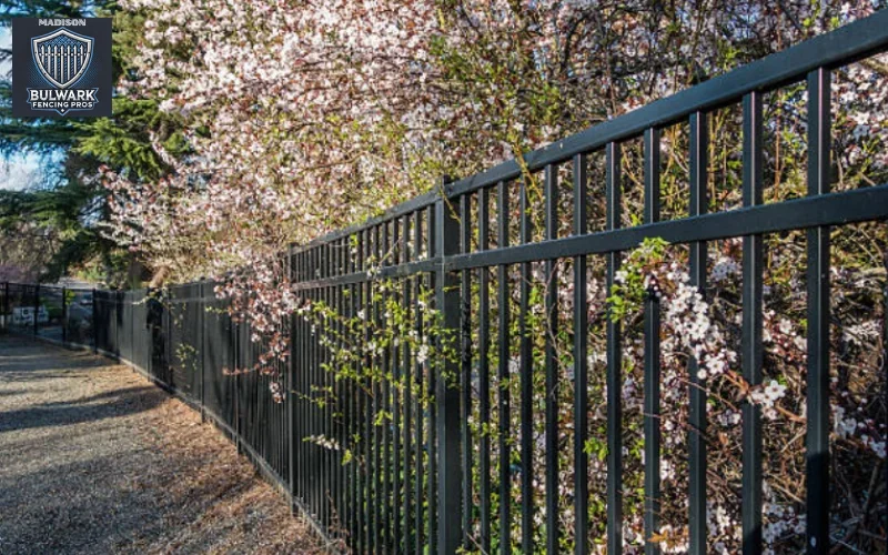 Fence Builders Near Me